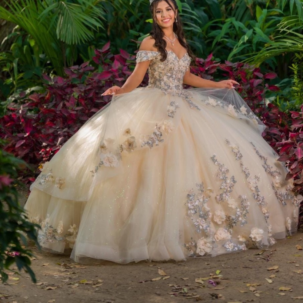 Selling my Moda2000 quince dress! In champagne with little turquoise flowers